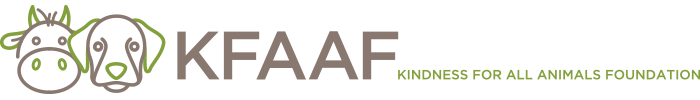 KFAAF.com